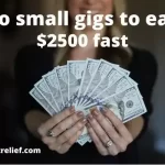 I do small gigs to earn $2500 fast